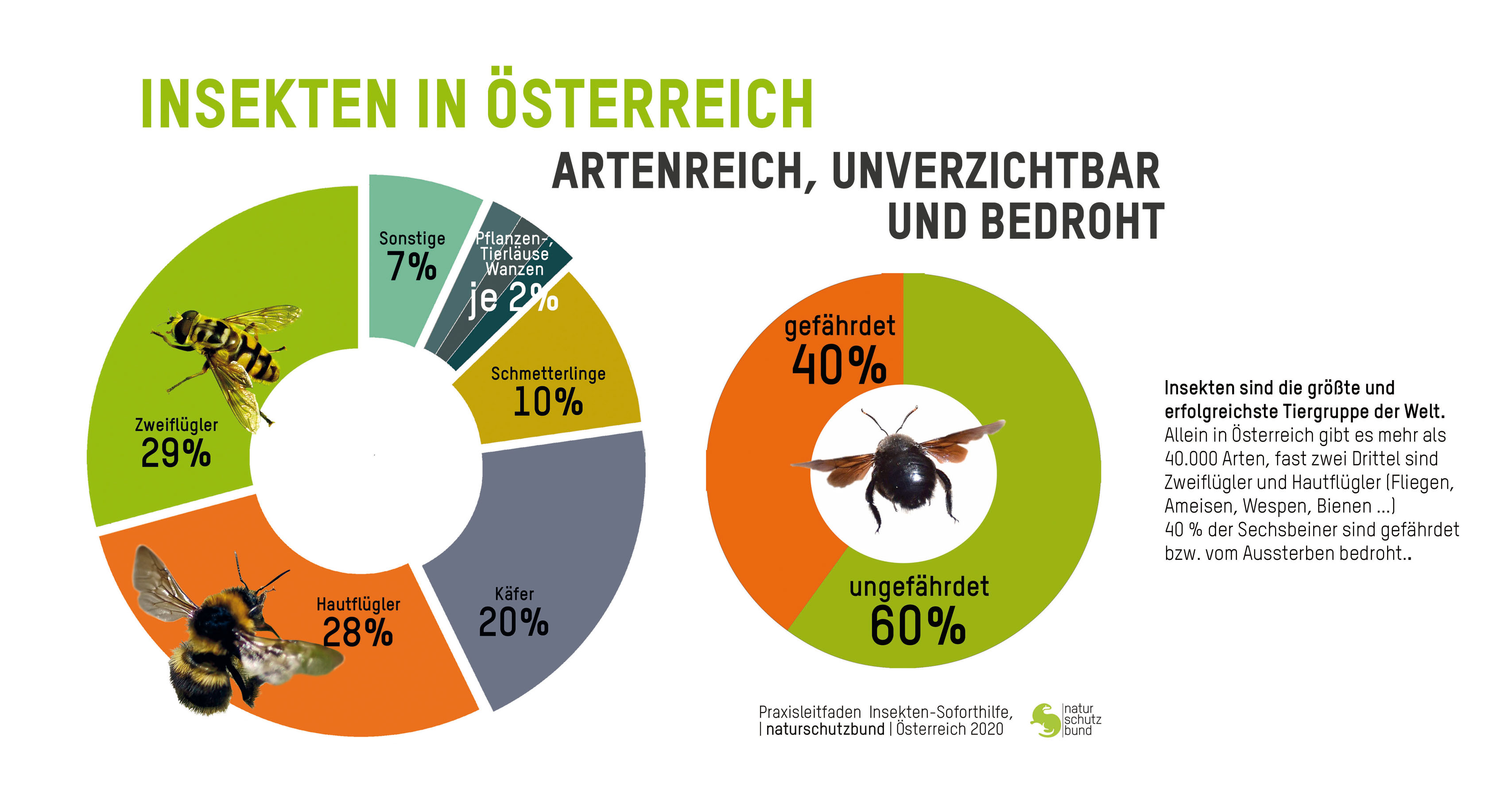 Wir brauchen die Insekten Jetzt müssen alle handeln! Naturschutzbund